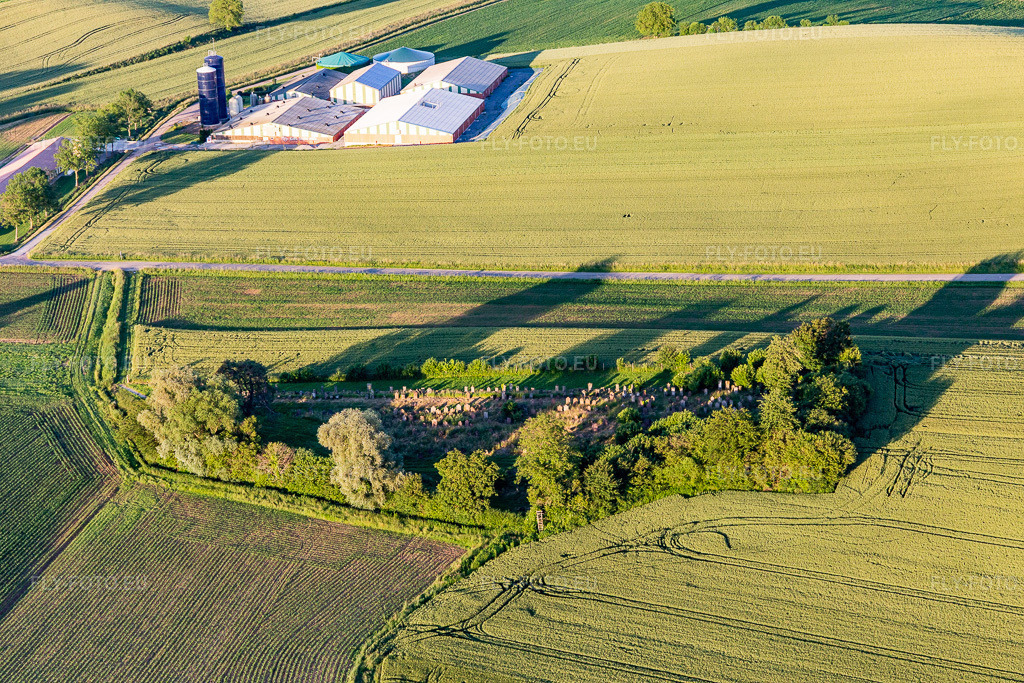 Vue aérienne: Cimetière juif à Trimbach dans le département Bas Rhin, France. Photo: IMG_115526.jpg prise le 16/06/2019 par Werner Riehm/FLY-FOTO.eu – Résolution de l'original: 5472 x 3648 px
