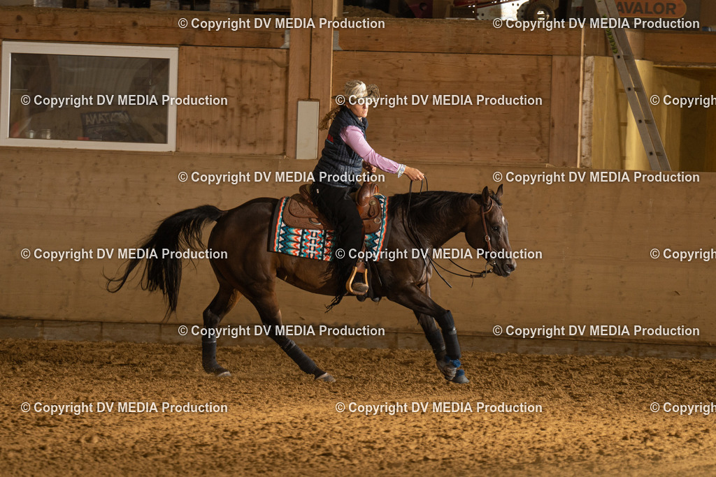 LAU00661 | dv-media-shop - Realisiert mit Pictrs.com