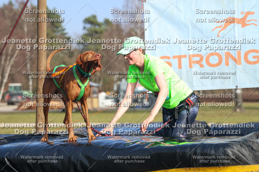 Dog Paparazzi - Strongdog North Mrz26-3333 | Dog Paparazzi Jeanette Grottendiek Fotografie & Videografie - Realisiert mit Pictrs.com