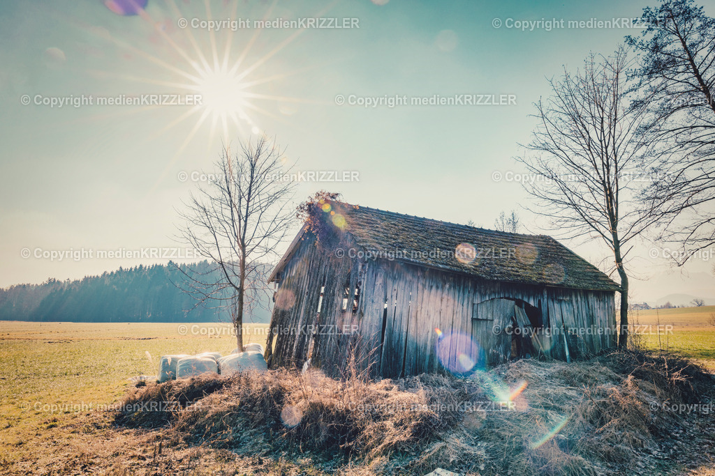 _J3A0150 | medienkrizzler - Realisiert mit Pictrs.com