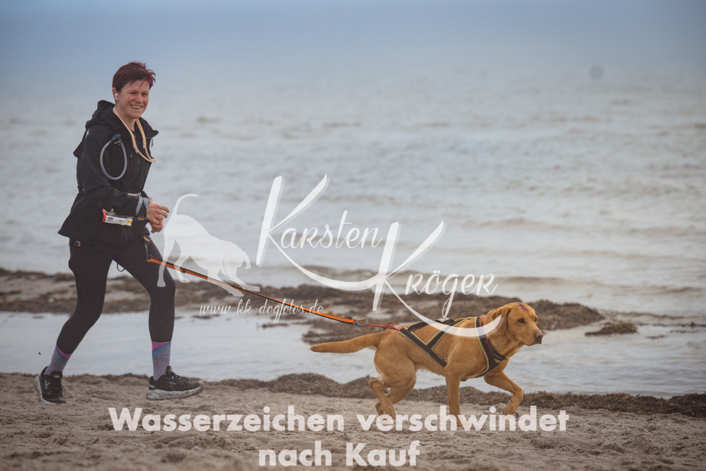 1148_ZZ91535 | kk-dogfotos