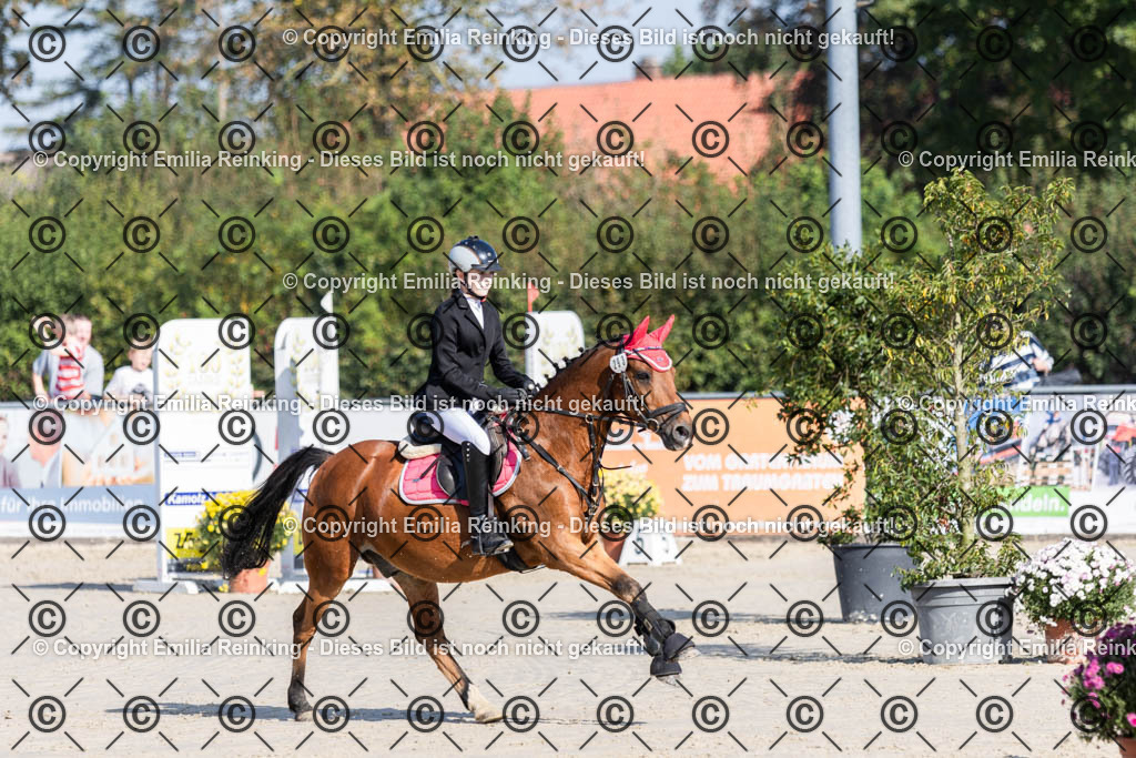 CL5A0071 | Emilia Reinking Fotografie - Realisiert mit Pictrs.com