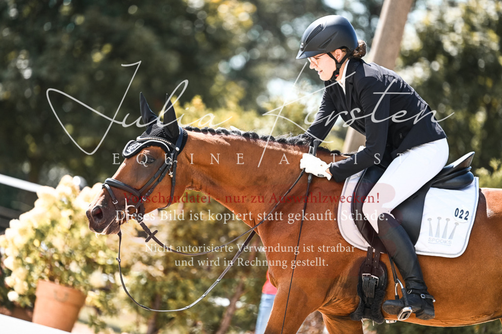 DSC_5509 | Pferde- und Turnierfotografie in Westsachsen. Pferdeportraits, Auftragszeichnungen und intuitive Kunst.