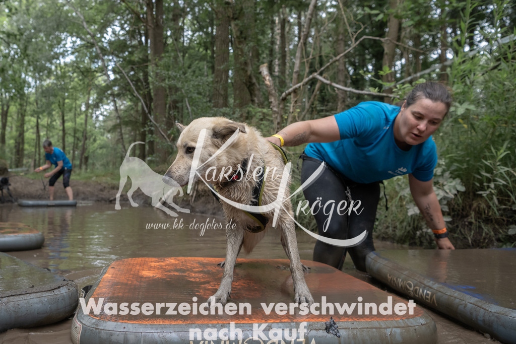 1359_ZZ96608 | kk-dogfotos