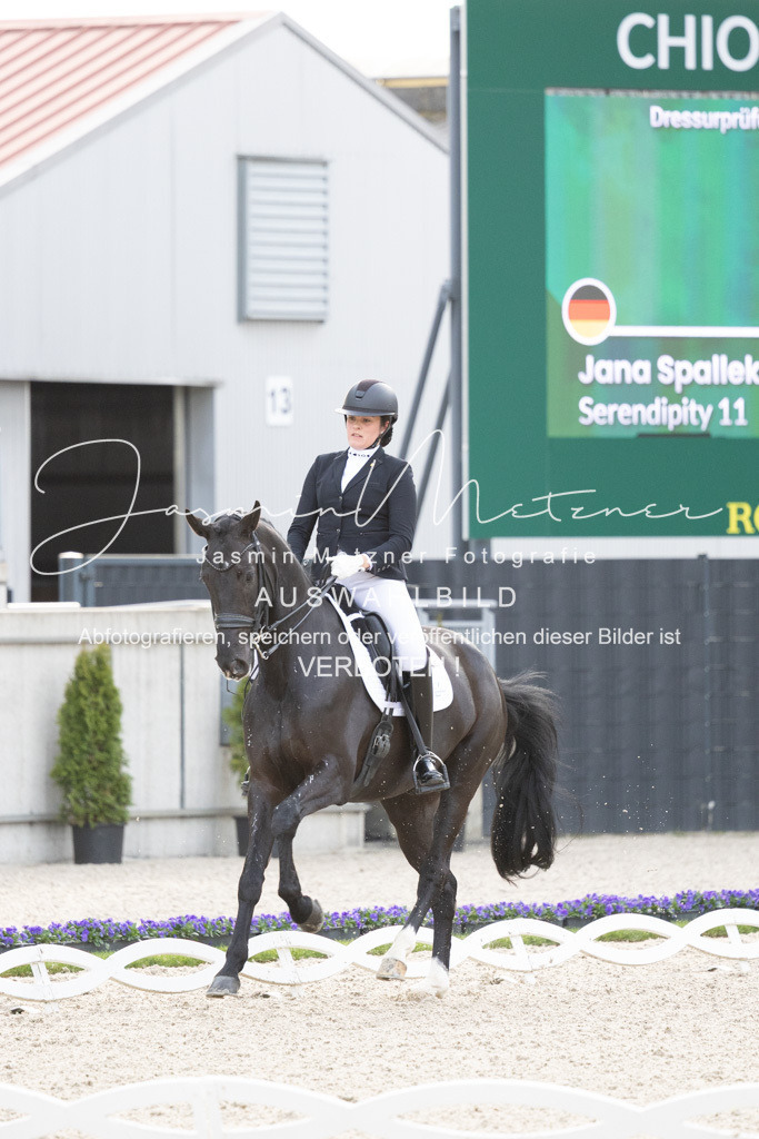 126A4583 | jasminmetznerfotografie