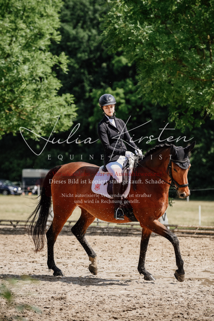 DSC_0973 | Pferde- und Turnierfotografie in Westsachsen. Pferdeportraits, Auftragszeichnungen und intuitive Kunst.