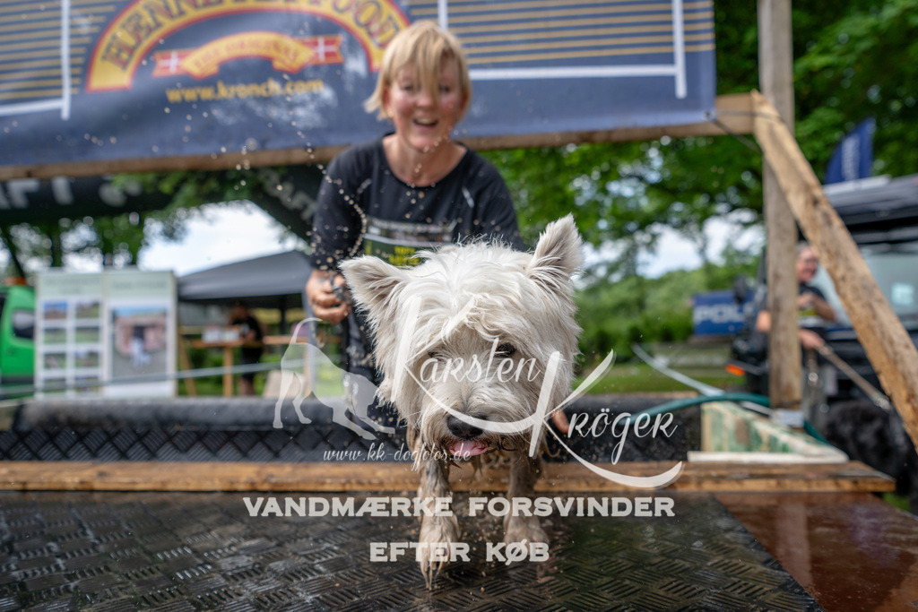 1127_ZZ94464 | kk-dogfotos
