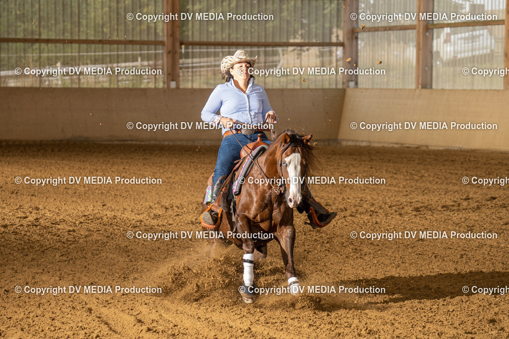 LAU01442 | dv-media-shop - Realisiert mit Pictrs.com