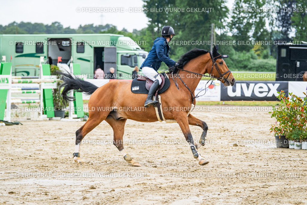 DSC03742 | Pferdegrafie