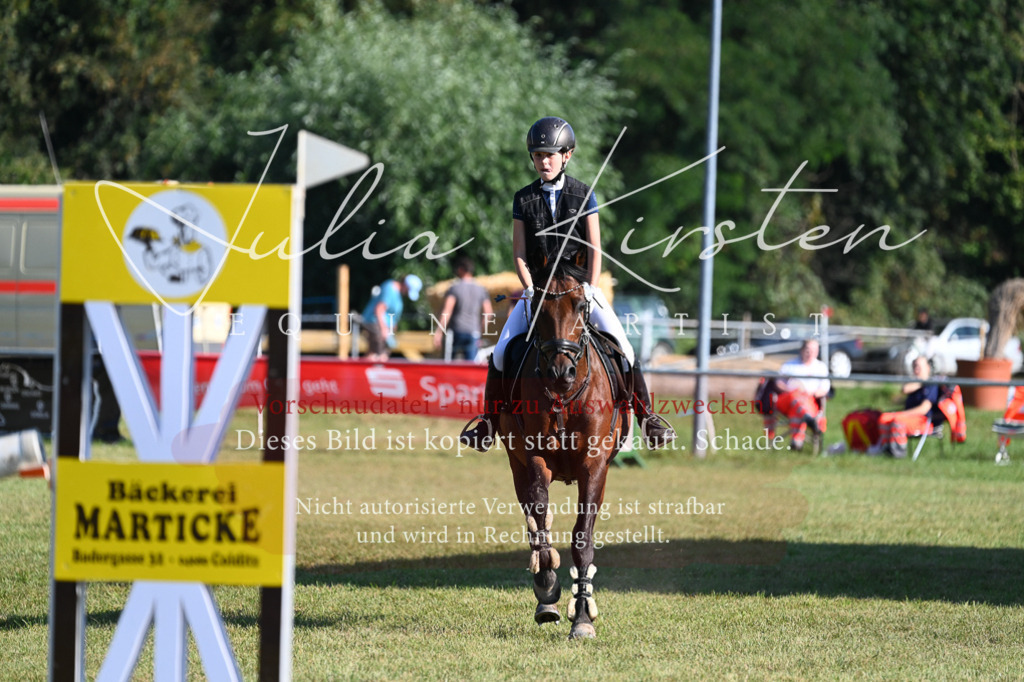 DSC_5221 | Pferde- und Turnierfotografie in Westsachsen. Pferdeportraits, Auftragszeichnungen und intuitive Kunst.