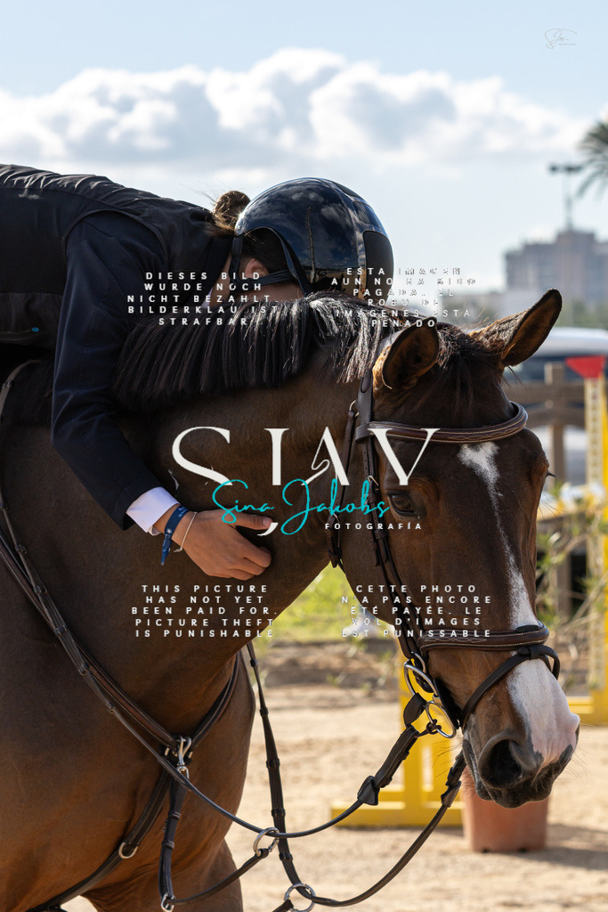 IMG_1851 | s-jay-photography - Realisiert mit Pictrs.com