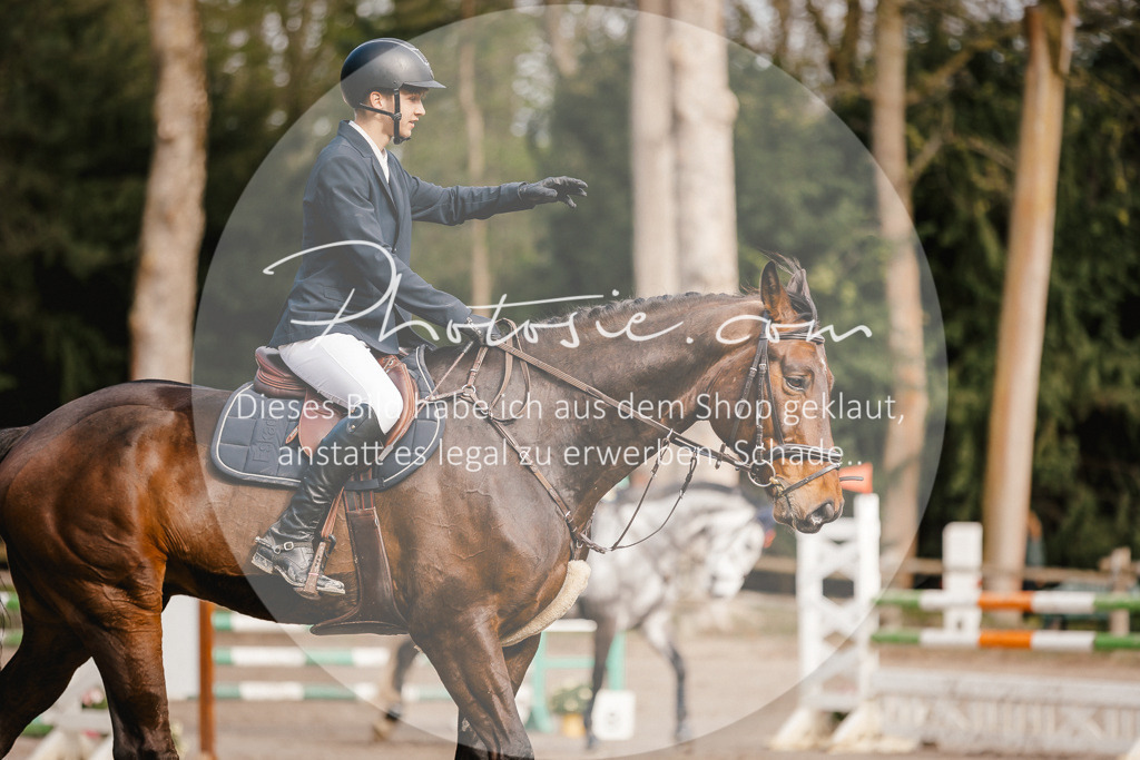 3I6A3424 | Stimmungsvolle Portraits und Reitsportfotografie im Ruhrgebiet und im Münsterland.

Pferdefotografie, Hundefotografie, Tierfotografie, Reportagen, Portraits von Tier und Mensch, Turnierfotografie in Bochum, Recklinghausen, Marl, Haltern am See, Dülmen.. - Realisiert mit Pictrs.com