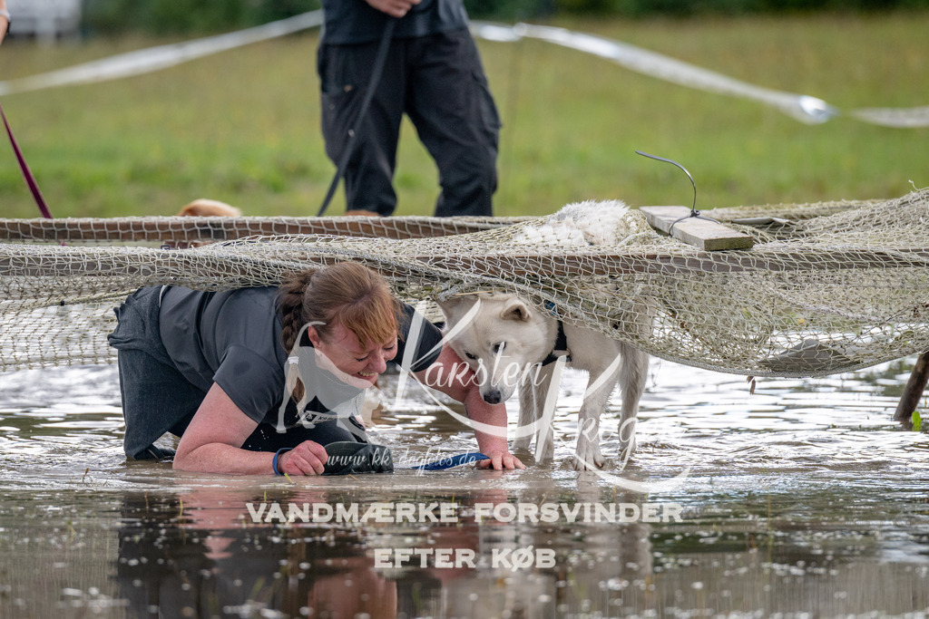 1437_ZZ90379 | kk-dogfotos