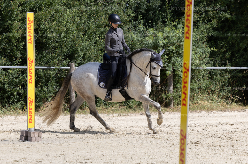 WA_Trail_39_KerstinBernhardt-4 | working equitationturnier fotograf videograf stoibphotography marixx film working equitation deutschland reitsport turnierfotografie eventfotografie equestrian events