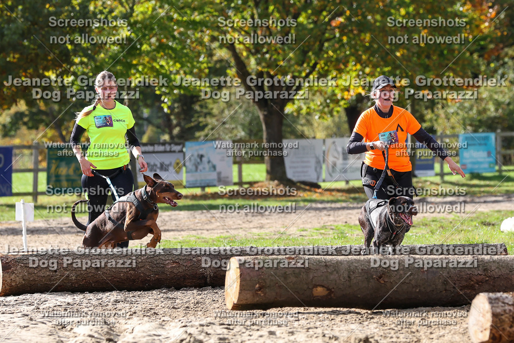 Dog Paparazzi - Strongdog 10-25-5696 | Dog Paparazzi Jeanette Grottendiek Fotografie & Videografie - Realisiert mit Pictrs.com