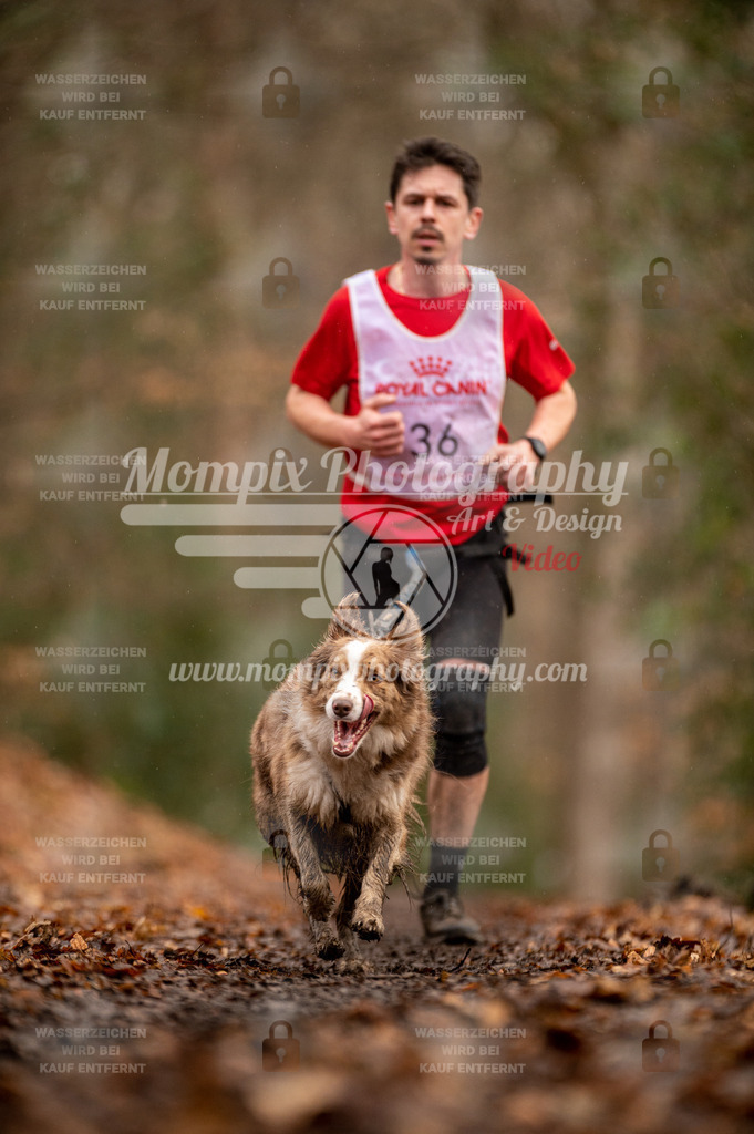 SPA_2023_DIM_CCL-96 | PayLife