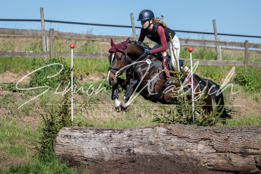 20260523-_3LI6935 | Tierfotografie Pferde, Hunde, Katzen, Haustiere.
Turnierfotografie Reitturniere, Reiten, Springreiten, Dressur in Hanau, dem Main-Kinzig-Kreis und dem Rhein-Main- Gebiet um Frankfurt