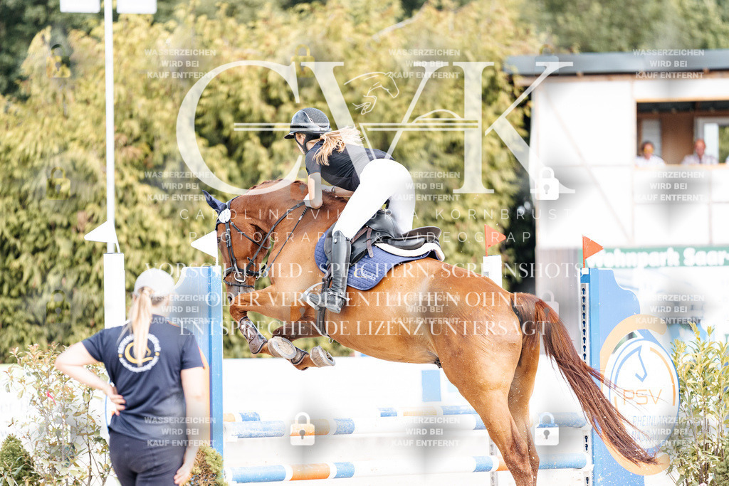 CK909007 | Turnierfotografie Pferdefotografie Trier Rheinland-Pfalz Pferdesport Reitsport Tierfotografie Sportfotografie Pferdevideo Pferdevideografie Equestrianvideography equestrianphotography  - Realisiert mit Pictrs.com