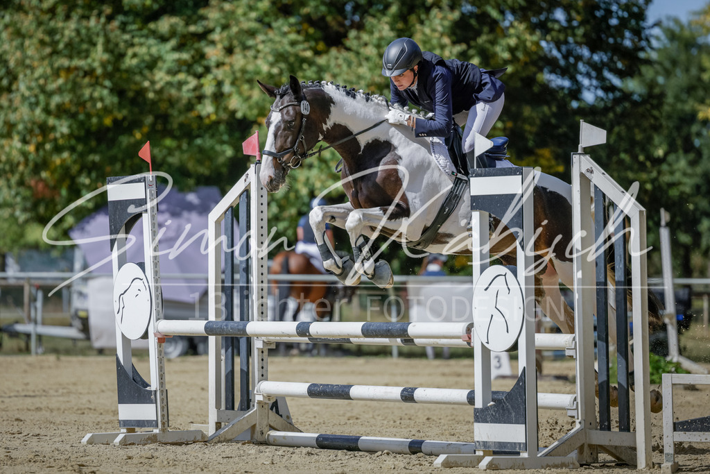 20250906-_3LI6028 | Tierfotografie Pferde, Hunde, Katzen, Haustiere.
Turnierfotografie Reitturniere, Reiten, Springreiten, Dressur in Hanau, dem Main-Kinzig-Kreis und dem Rhein-Main- Gebiet um Frankfurt