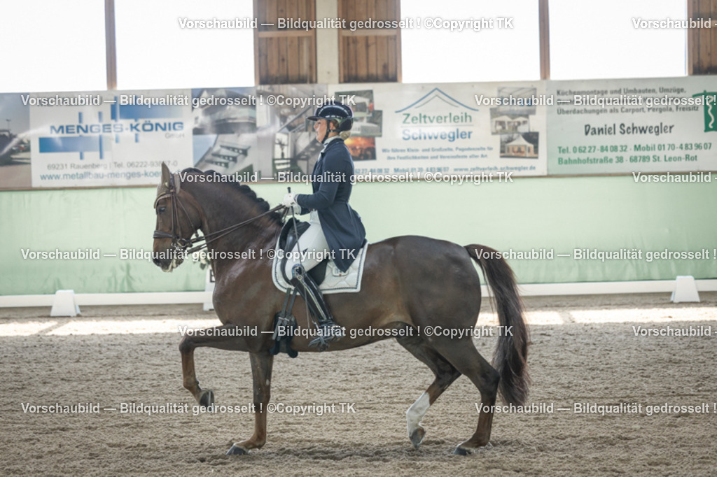 _D5A9218 | Emotionale Pferde- & People-Fotografie rund um Heidelberg, Leimen & Umgebung. Natürliche Fotos von Pferd, Mensch & Familie. Jetzt Termin sichern!