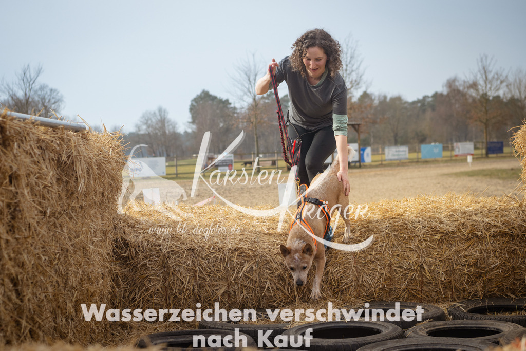 1022_ZZ94596 | kk-dogfotos