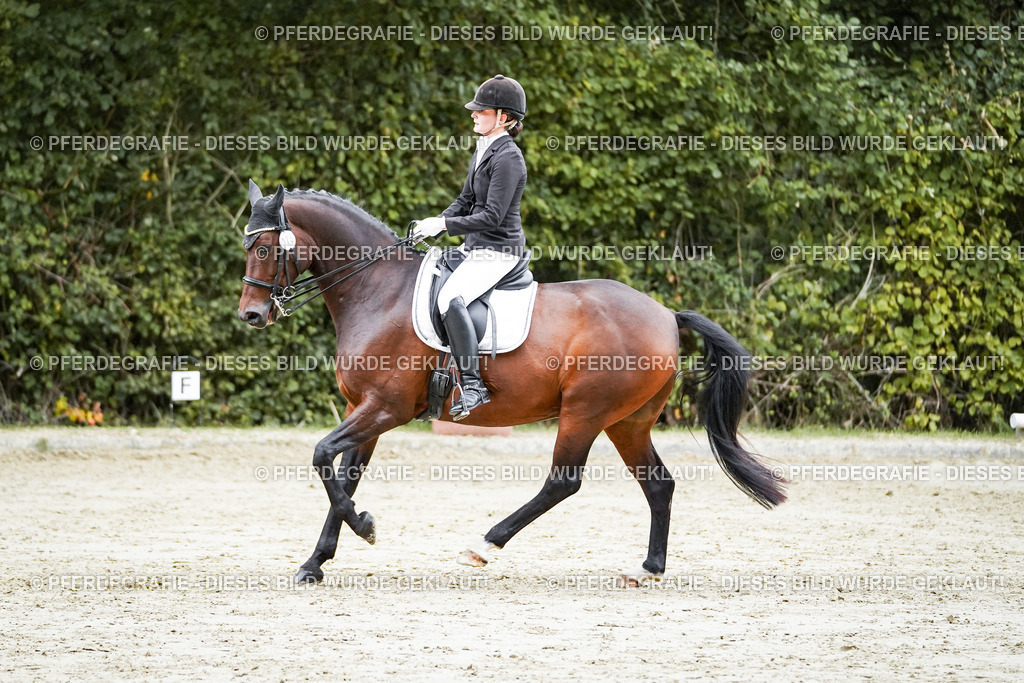 DSC00581 | Pferdegrafie