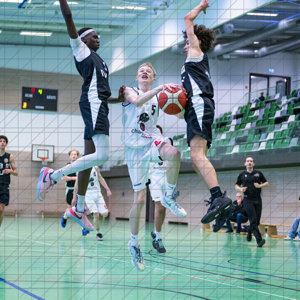 JBBL 24/25 | 12.01.2025 | Charisma Young Bulls vs. Northwestern Basketball Academy | JBBL 24/25 | 12.01.2025 | Charisma Young Bulls vs. Northwestern Basketball Academy - - - - - CREDIT, www.bullenfotos.de, Martin König, Hörner Weg 40, D-49078 Osnabrück, +4917663732967, Nutzung und Weitergabe nur zu den vereinbarten Zwecken. Presseanfragen an Urheber. Alle Rechte beim Urheber. - - - - - - Realisiert mit Pictrs.com