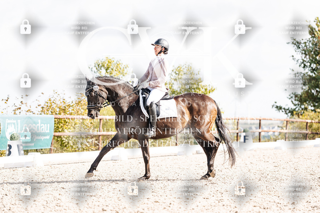 CK901936 | Turnierfotografie Pferdefotografie Trier Rheinland-Pfalz Pferdesport Reitsport Tierfotografie Sportfotografie Pferdevideo Pferdevideografie Equestrianvideography equestrianphotography  - Realisiert mit Pictrs.com