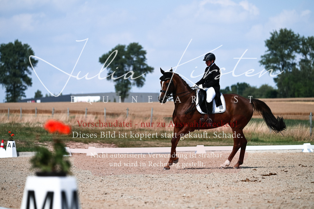 DSC_3268 | Pferde- und Turnierfotografie in Westsachsen. Pferdeportraits, Auftragszeichnungen und intuitive Kunst.