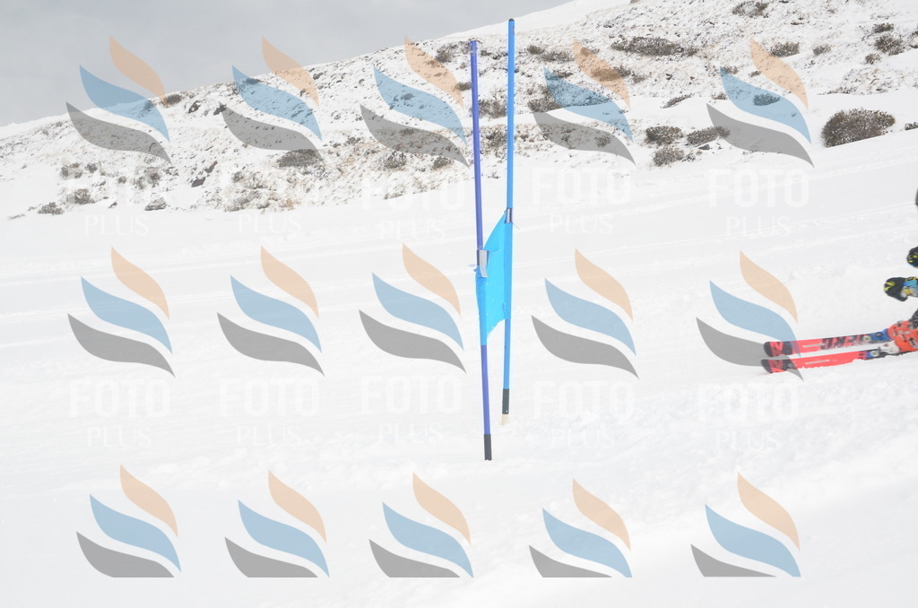 A5617 | holidayphoto