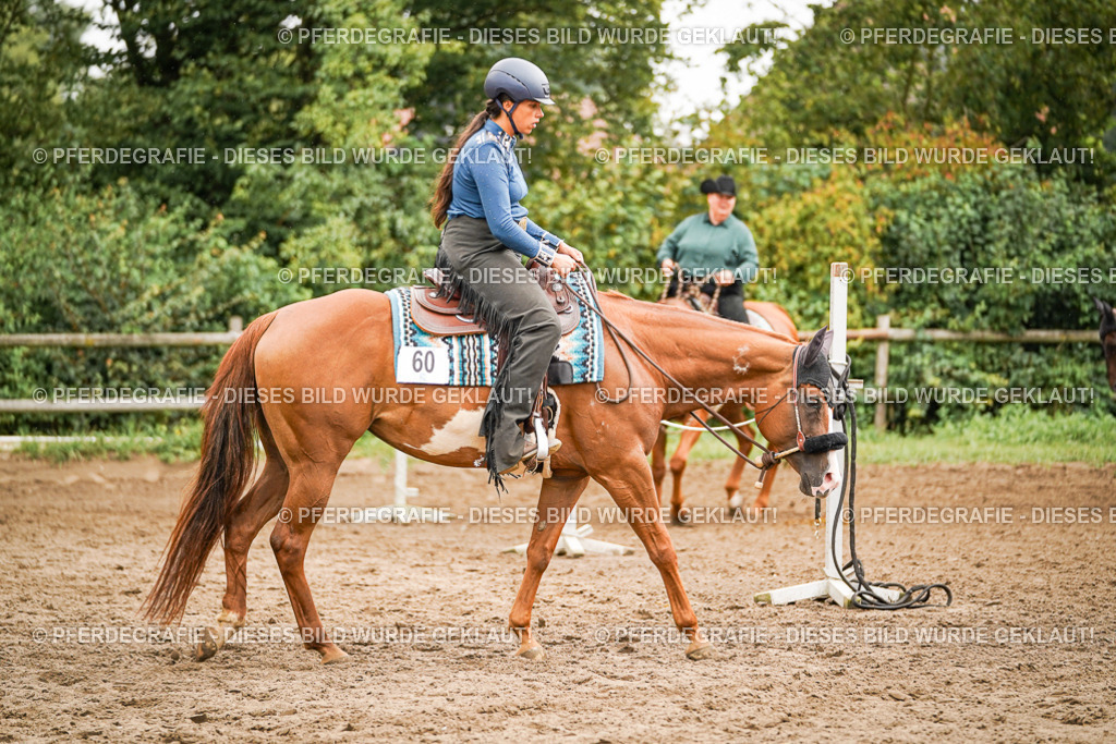 DSC04438 | Pferdegrafie