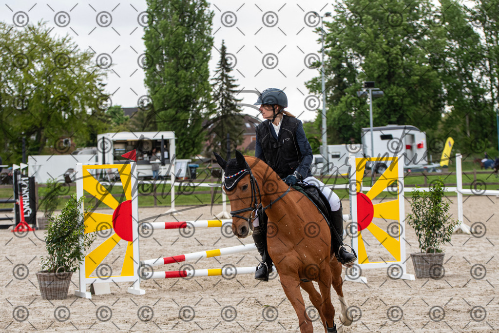 KPT_7648 | andre_photographic