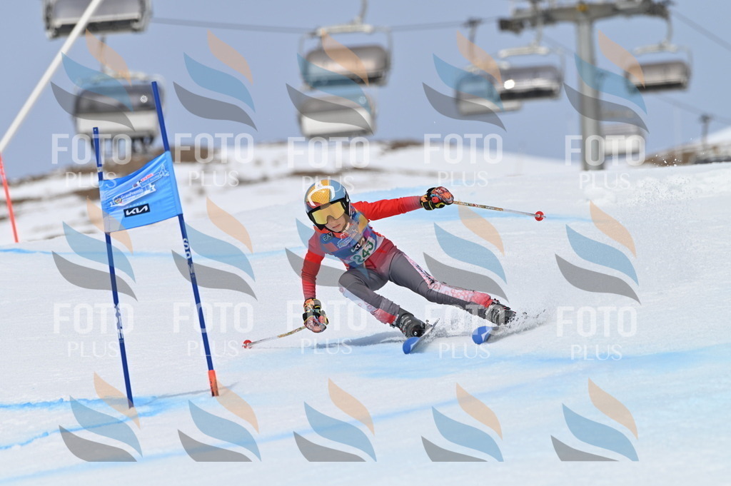 BGV_4813 | holidayphoto