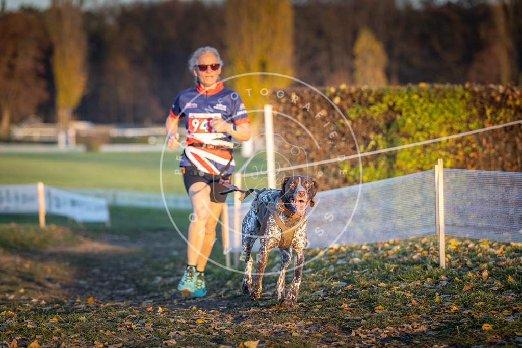 CaniXpix_DV3A5566 | Hundefotografie, Tierfotograf, Pfotenfotografie, Fotoshooting Hund, Hunde Portrait, Hundesport, Hundeportraits, Heideshooting, Hunde, Sportfotograf, Hundefotograf, Turnierhundsport, THS,  - Realisiert mit Pictrs.com