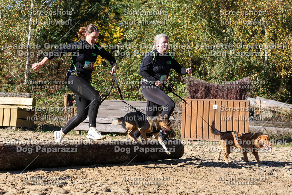 Dog Paparazzi - Strongdog 10-25-2676 | Dog Paparazzi Jeanette Grottendiek Fotografie & Videografie - Realisiert mit Pictrs.com