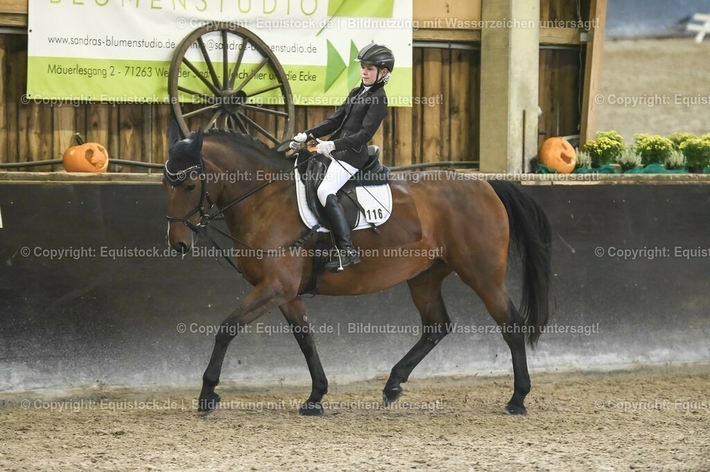 03_Reiter-WB_0286 | Foto: Thomas Hartig