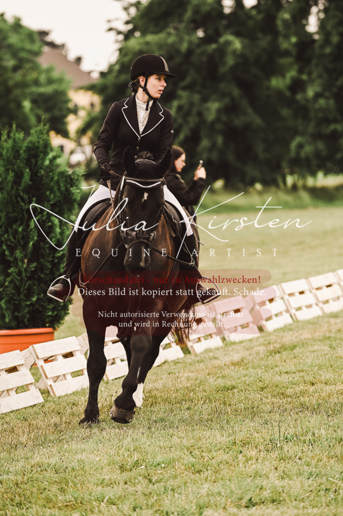 DSC_4994 | Pferde- und Turnierfotografie in Westsachsen. Pferdeportraits, Auftragszeichnungen und intuitive Kunst.