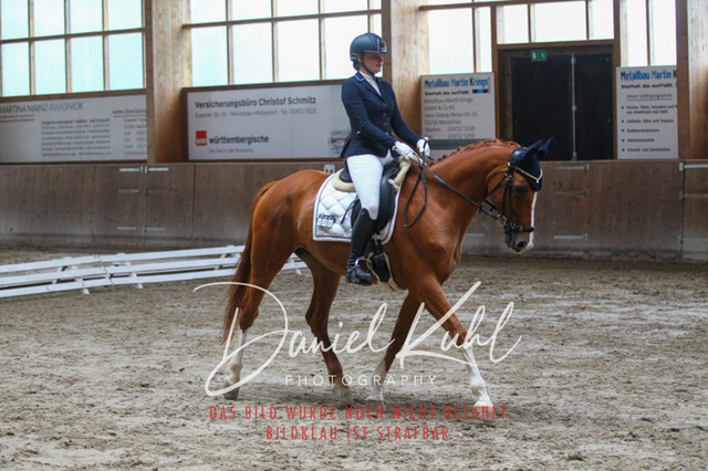 DKP44297 | Turniersportfotografie; Pferdefotografie; Dressurfotografie