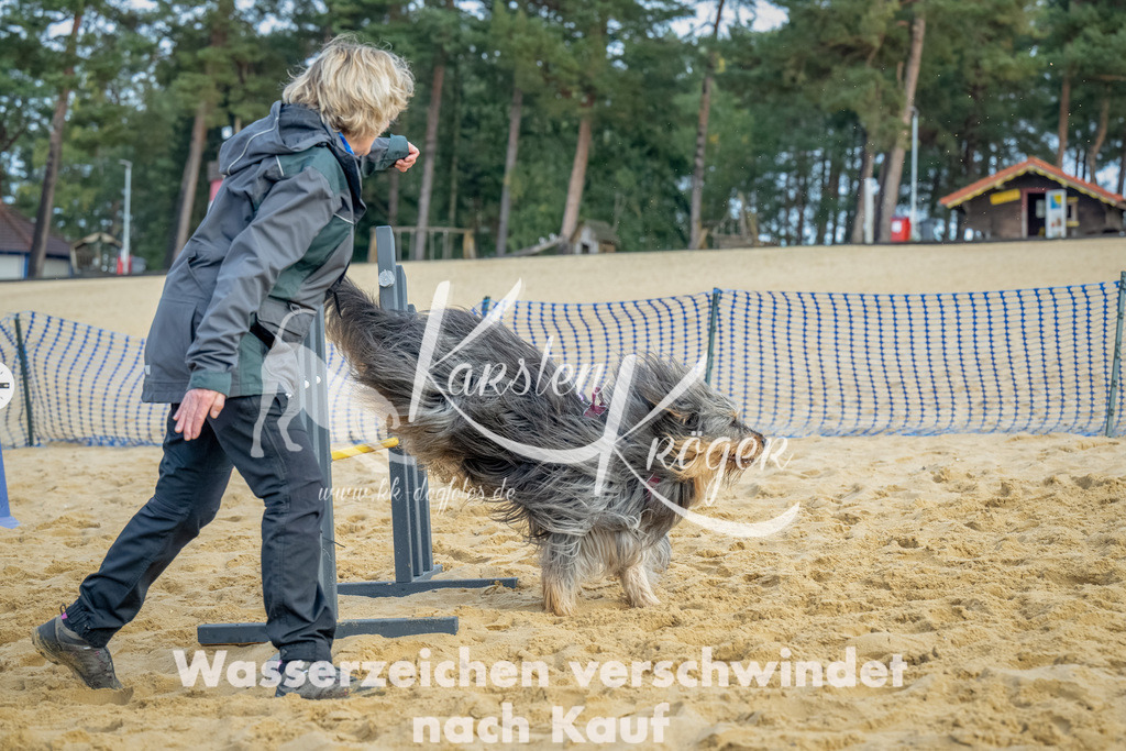 0908_ZZ91897-Bearbeitet | kk-dogfotos