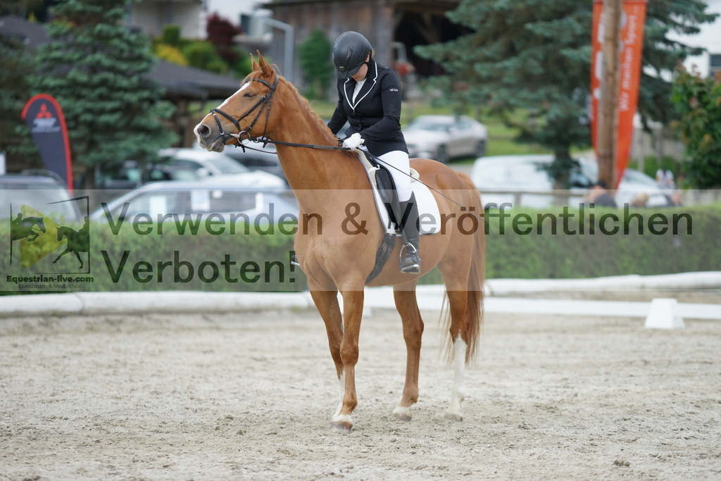 DSC05499 | equestrian-live-com
