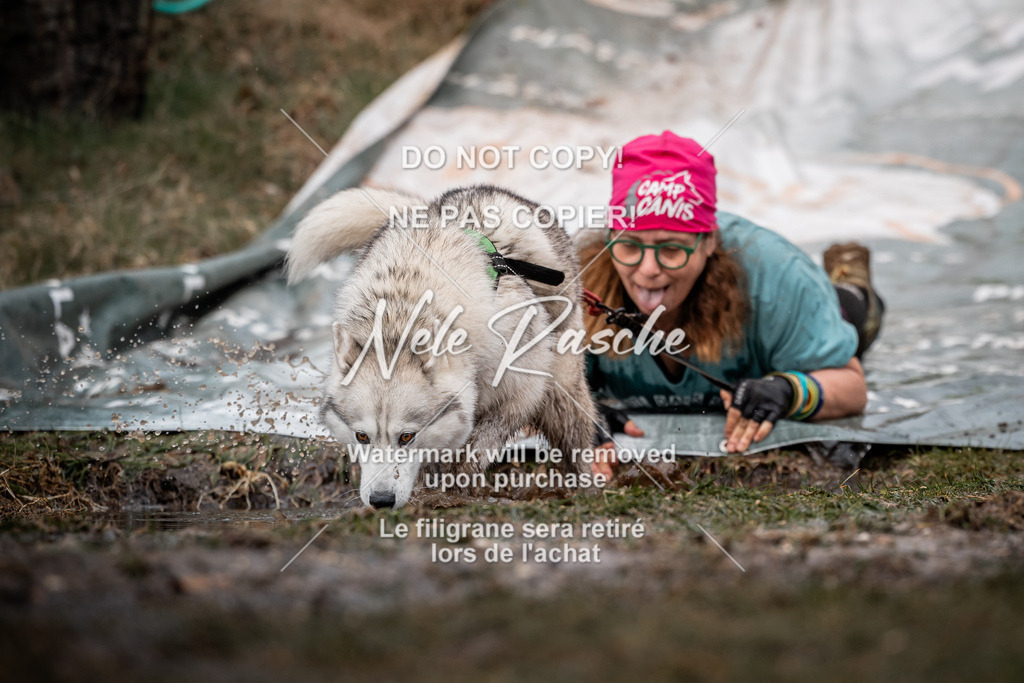 nelerasche_1330-1400_46 | nelerasche