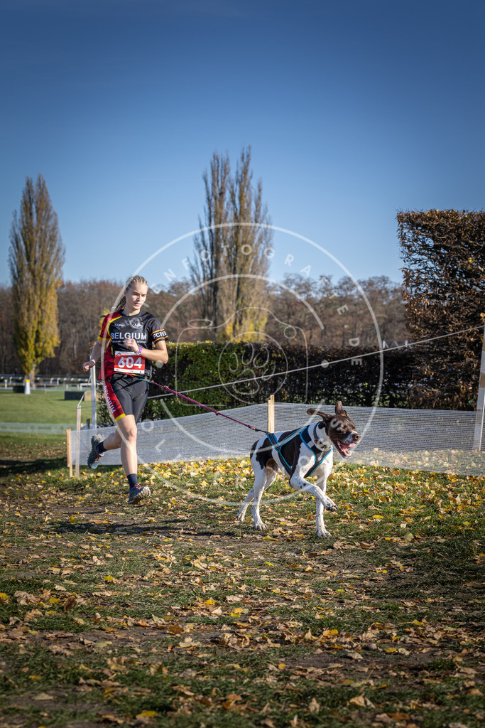 CaniXpix_DV3A9596 | Hundefotografie, Tierfotograf, Pfotenfotografie, Fotoshooting Hund, Hunde Portrait, Hundesport, Hundeportraits, Heideshooting, Hunde, Sportfotograf, Hundefotograf, Turnierhundsport, THS,  - Realisiert mit Pictrs.com