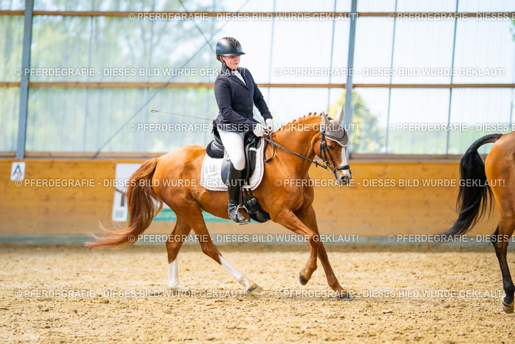 DSC08750 | Pferdegrafie