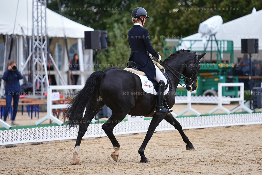 8_1-077-Klasse S_  -Marixx-4060 | working equitationturnier fotograf videograf stoibphotography marixx film working equitation deutschland reitsport turnierfotografie eventfotografie equestrian events