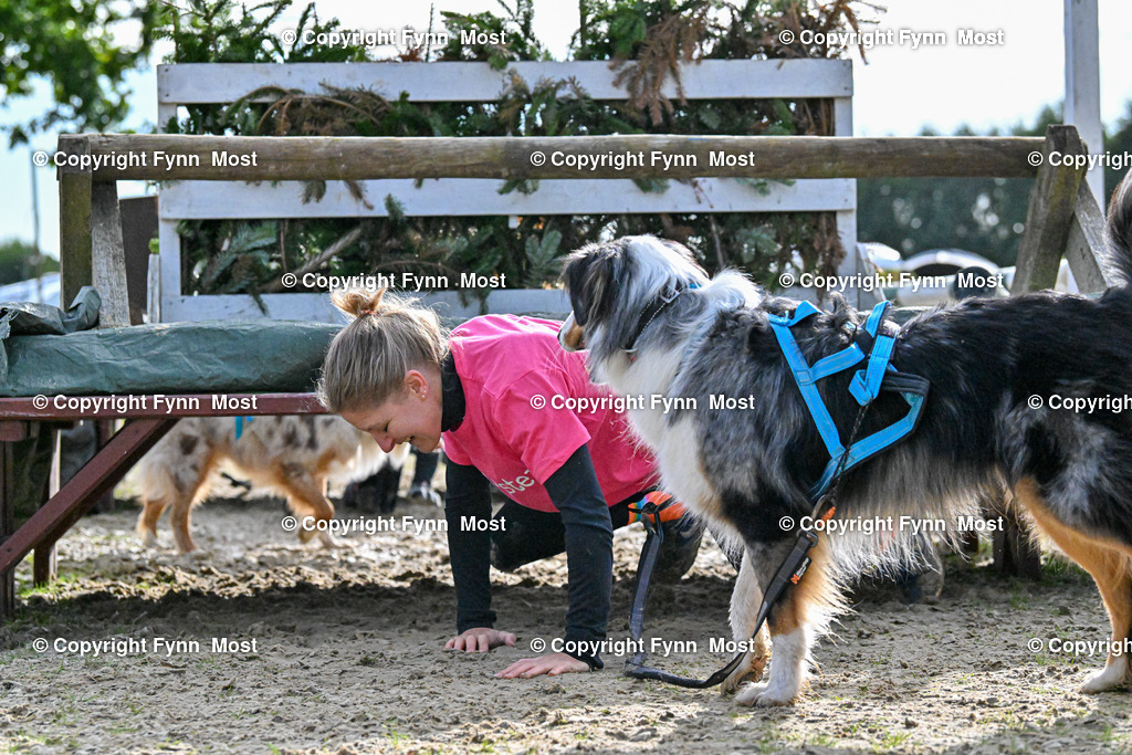 DSC_6343 | Hallo und herzlich Willkommen auf meiner Shop-Seite Fynn Most.

Ich wünsche Dir viel Spaß beim stöbern durch die Bilder, wenn Du Fragen hast oder Bilder vermisst, kannst du mir gerne eine Nachricht schreiben. - Realisiert mit Pictrs.com