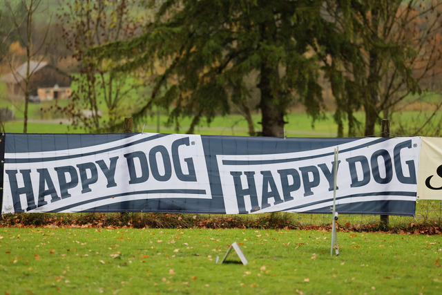 2025_Rally_Obedience_SM-41 | Ich fotografiere Hundeausstellungen, Sportanlässe, Zuchtstätten, Hundezucht, Hundeportrait, Lagotto - Realisiert mit Pictrs.com