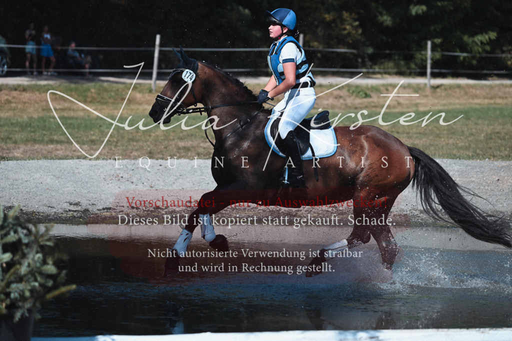 DSC_8715 | Pferde- und Turnierfotografie in Westsachsen. Pferdeportraits, Auftragszeichnungen und intuitive Kunst.