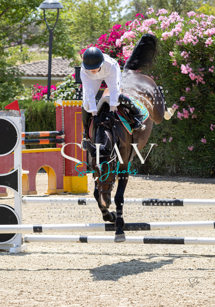 IMG_7402 | s-jay-photography - Realisiert mit Pictrs.com