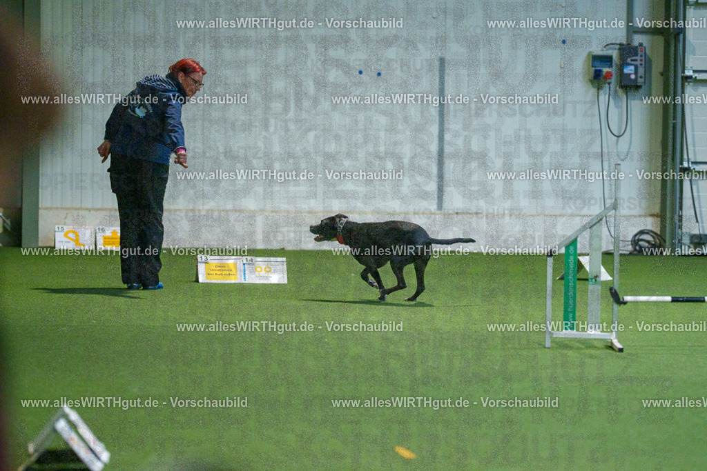 7R503244 | Professionelle Tierfotografie in Mönchengladbach von Daniel Wirth (allesWIRTHgut). Liebevolle & natürliche Bilder von Hunden & Katzen für unvergessliche Erinnerungen.