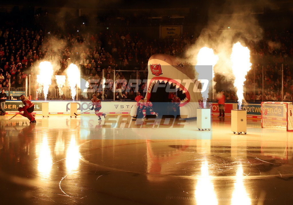 Einlauf Kölner Haie | Einlauf Kölner Haie - Realisiert mit Pictrs.com